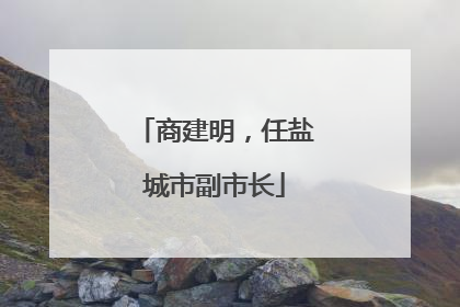 商建明，任盐城市副市长