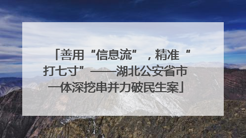 善用“信息流”，精准“打七寸”——湖北公安省市一体深挖串并力破民生案