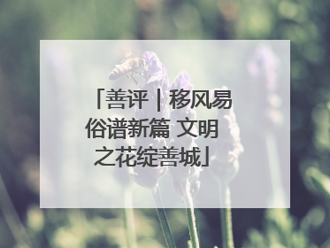 善评｜移风易俗谱新篇 文明之花绽善城
