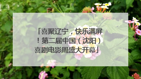 喜聚辽宁，快乐满屏！第二届中国（沈阳）喜剧电影周盛大开幕