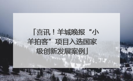 喜讯！羊城晚报“小羊拍客”项目入选国家级创新发展案例
