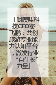 嗯噢哇科技CEO窦飞鹏：共创旅游专业能力认知平台，激发行业“自生长”力量