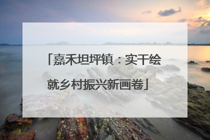 嘉禾坦坪镇：实干绘就乡村振兴新画卷