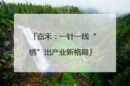 嘉禾：一针一线“绣”出产业新格局