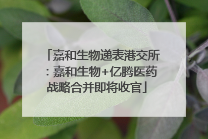 嘉和生物递表港交所：嘉和生物+亿腾医药战略合并即将收官