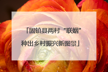 固镇县两村“联姻”种出乡村振兴新图景