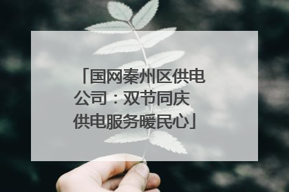 国网秦州区供电公司：双节同庆 供电服务暖民心