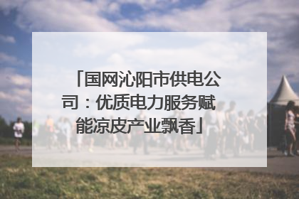 国网沁阳市供电公司：优质电力服务赋能凉皮产业飘香