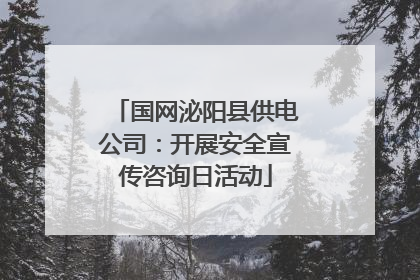 国网泌阳县供电公司：开展安全宣传咨询日活动