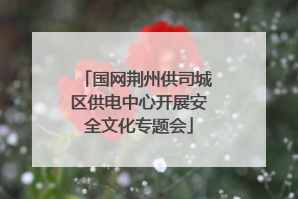 国网荆州供司城区供电中心开展安全文化专题会