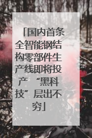 国内首条全智能钢结构零部件生产线即将投产 “黑科技”层出不穷