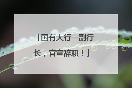 国有大行一副行长，官宣辞职！