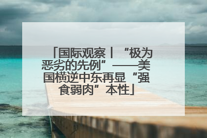 国际观察丨“极为恶劣的先例”——美国横逆中东再显“强食弱肉”本性