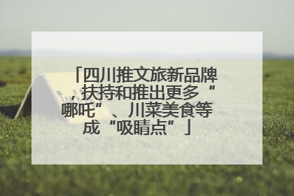 四川推文旅新品牌，扶持和推出更多“哪吒”、川菜美食等成“吸睛点”