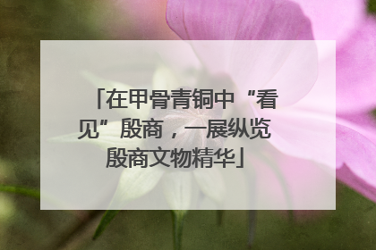 在甲骨青铜中“看见”殷商,一展纵览殷商文物精华
