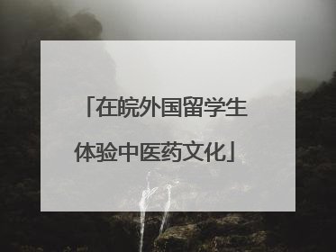 在皖外国留学生体验中医药文化