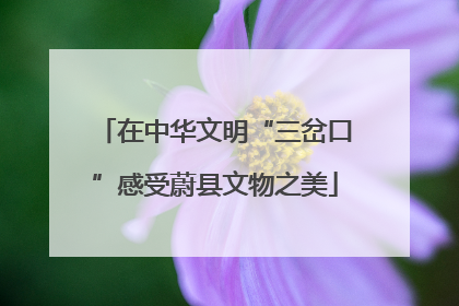 在中华文明“三岔口”感受蔚县文物之美
