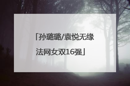 孙璐璐/袁悦无缘法网女双16强