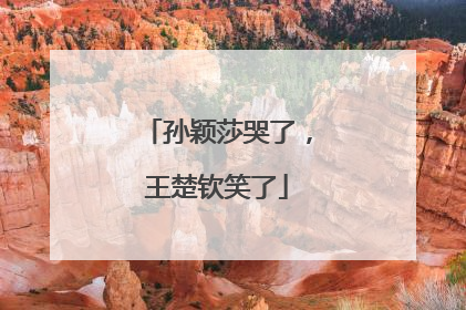 孙颖莎哭了，王楚钦笑了