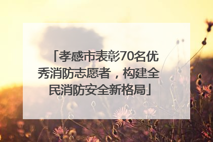 孝感市表彰70名优秀消防志愿者，构建全民消防安全新格局