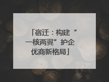 宿迁：构建“一核两翼”护企优商新格局