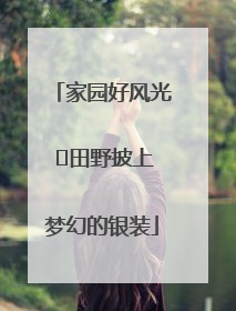 家园好风光 ⎮田野披上梦幻的银装