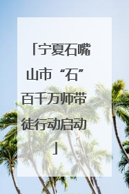 宁夏石嘴山市“石”百千万师带徒行动启动