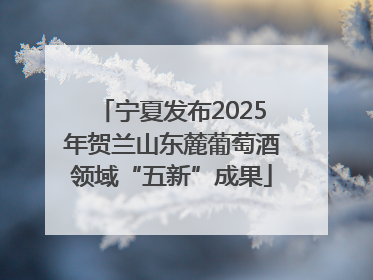 宁夏发布2025年贺兰山东麓葡萄酒领域“五新”成果