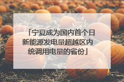 宁夏成为国内首个日新能源发电量超越区内统调用电量的省份