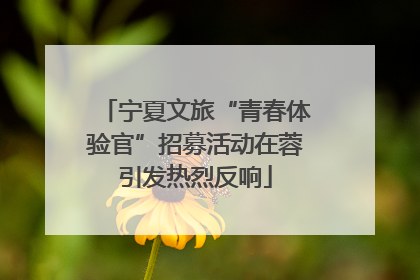 宁夏文旅“青春体验官”招募活动在蓉引发热烈反响