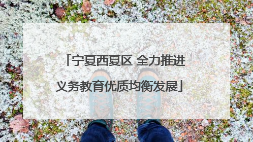 宁夏西夏区 全力推进义务教育优质均衡发展