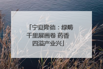 宁夏隆德：绿畴千里展画卷 药香四溢产业兴