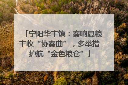 宁阳华丰镇：奏响夏粮丰收“协奏曲”，多举措护航“金色粮仓”