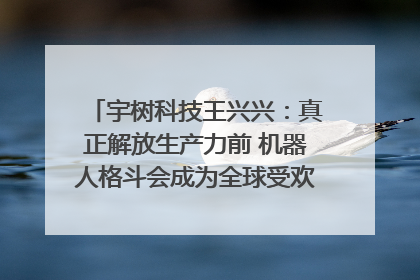 宇树科技王兴兴：真正解放生产力前 机器人格斗会成为全球受欢迎的赛事｜科技观察