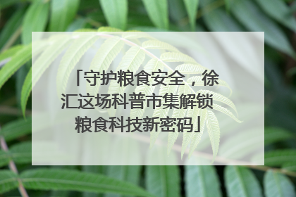 守护粮食安全，徐汇这场科普市集解锁粮食科技新密码