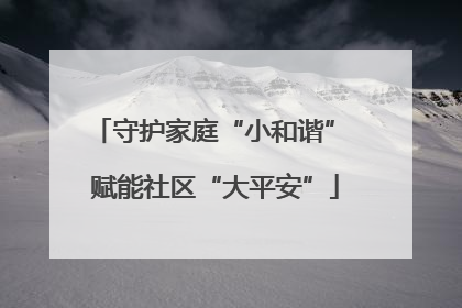 守护家庭“小和谐” 赋能社区“大平安”