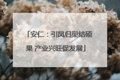 安仁：引凤归巢结硕果 产业兴旺促发展