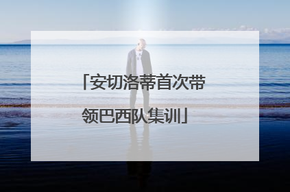 安切洛蒂首次带领巴西队集训