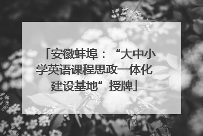安徽蚌埠：“大中小学英语课程思政一体化建设基地”授牌