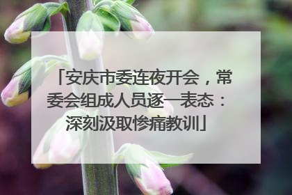 安庆市委连夜开会，常委会组成人员逐一表态：深刻汲取惨痛教训