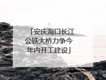 安庆海口长江公铁大桥力争今年内开工建设