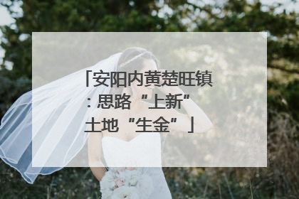 安阳内黄楚旺镇：思路“上新” 土地“生金”