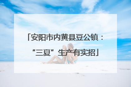 安阳市内黄县豆公镇：“三夏”生产有实招