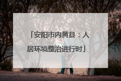 安阳市内黄县：人居环境整治进行时