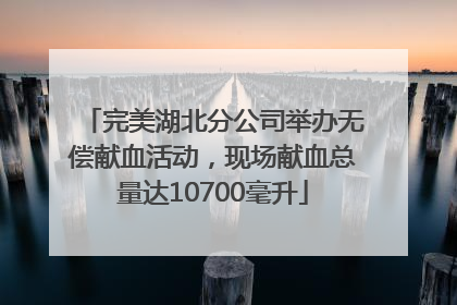 完美湖北分公司举办无偿献血活动，现场献血总量达10700毫升