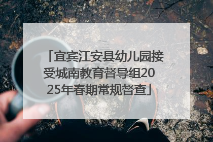 宜宾江安县幼儿园接受城南教育督导组2025年春期常规督查