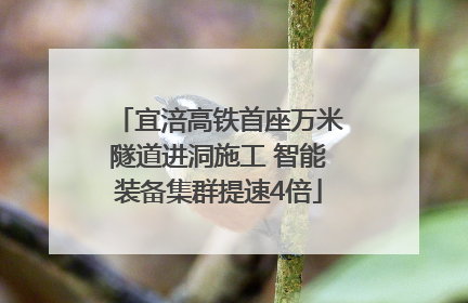 宜涪高铁首座万米隧道进洞施工 智能装备集群提速4倍