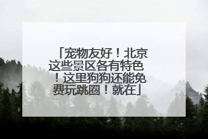 宠物友好！北京这些景区各有特色！这里狗狗还能免费玩跳圈！就在