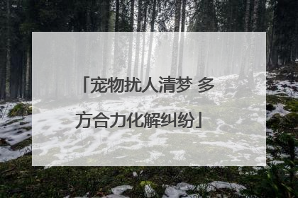 宠物扰人清梦 多方合力化解纠纷