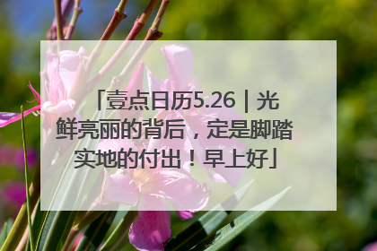 壹点日历5.26｜光鲜亮丽的背后，定是脚踏实地的付出！早上好